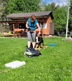 Poslední volná místa ve „Školičce 2“ pro malá plemena