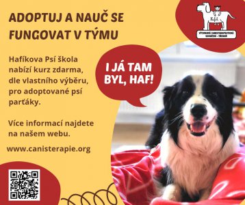 Adoptuj a nauč se fungovat v týmu