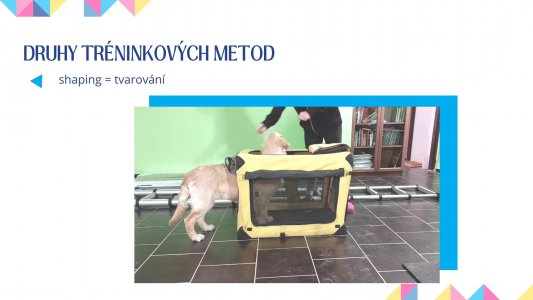 Moderní etický trénink