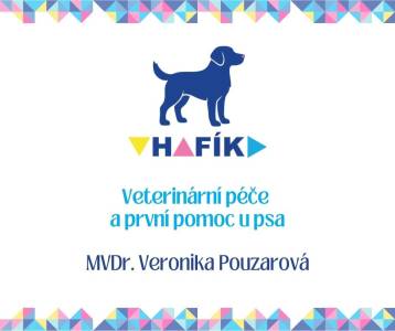 Veterinární péče a první pomoc u psa