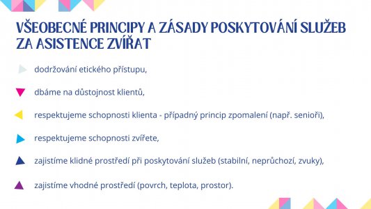 Principy a zásady služeb za asistence zvířat během přímého poskytování AAS u klientů