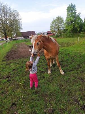 346150730_213899371108923_2403016395210412853_n