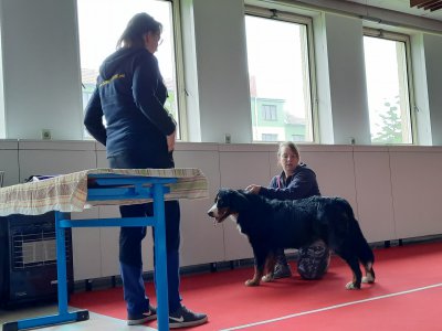 Kurz vystavování hala, 17...