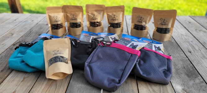 Podzimní Psí škola