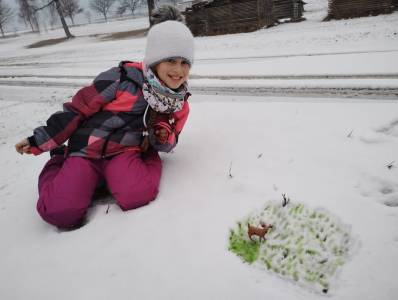 WhatsApp Image 2026-01-29 at 17.55.15