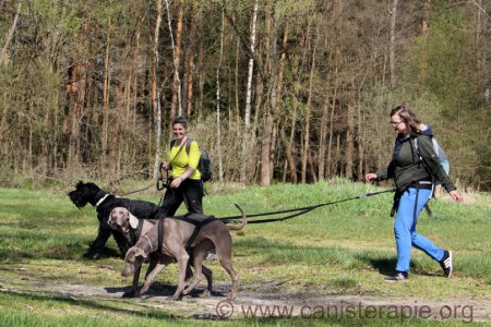 Toulky s Hafíkem 2015