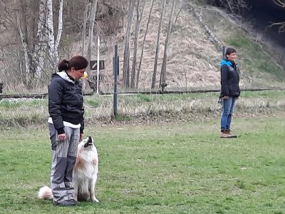 Zkoušky ovladatelnosti ps...