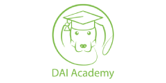DAI Academy